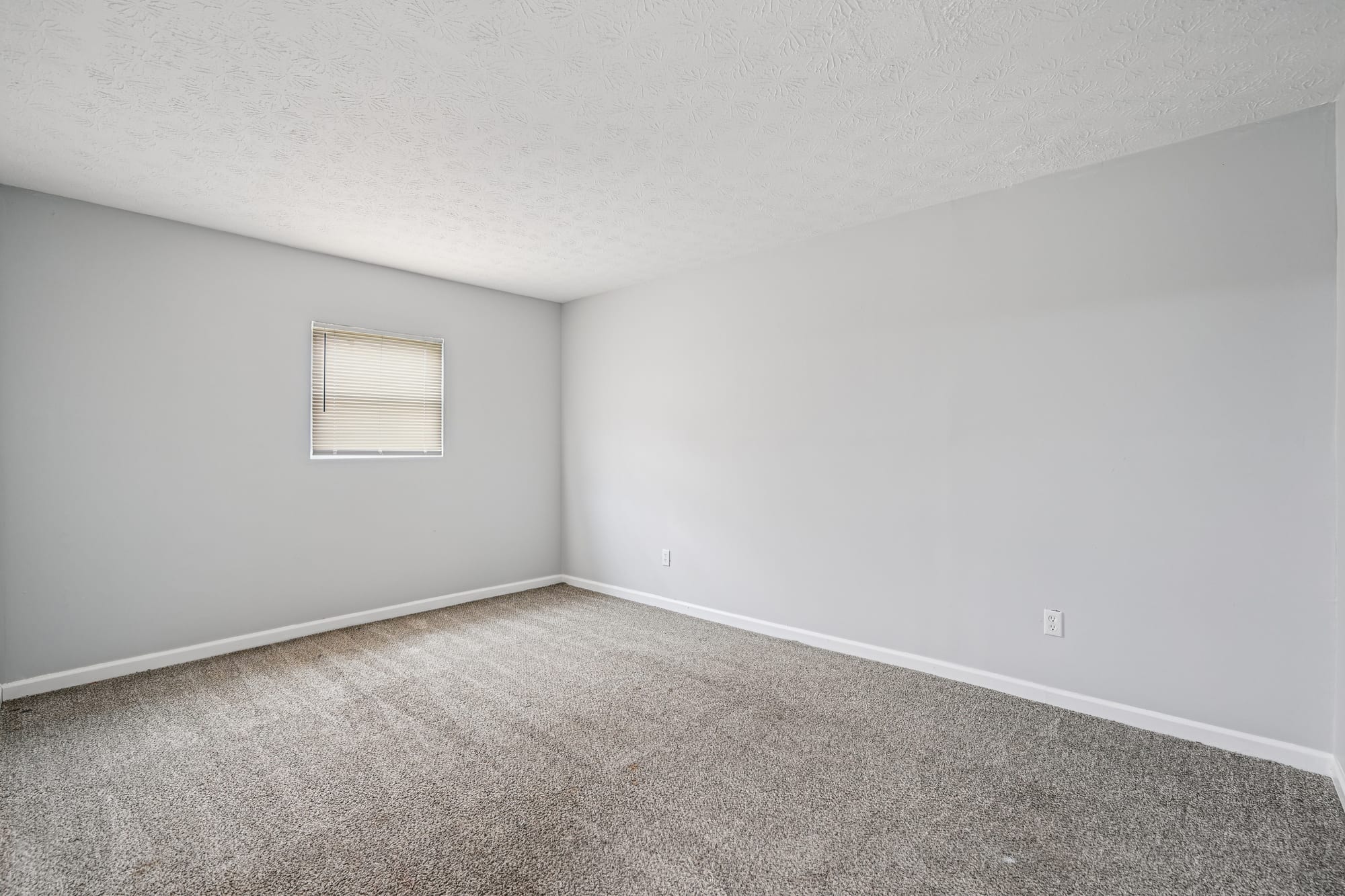 Primary Bedroom — 2 bed / 1 bath apartment at Morse Creek (photo 1)