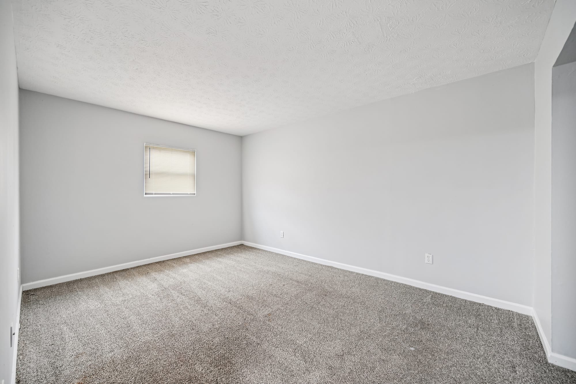 Primary Bedroom — 2 bed / 1 bath apartment at Morse Creek (photo 2)