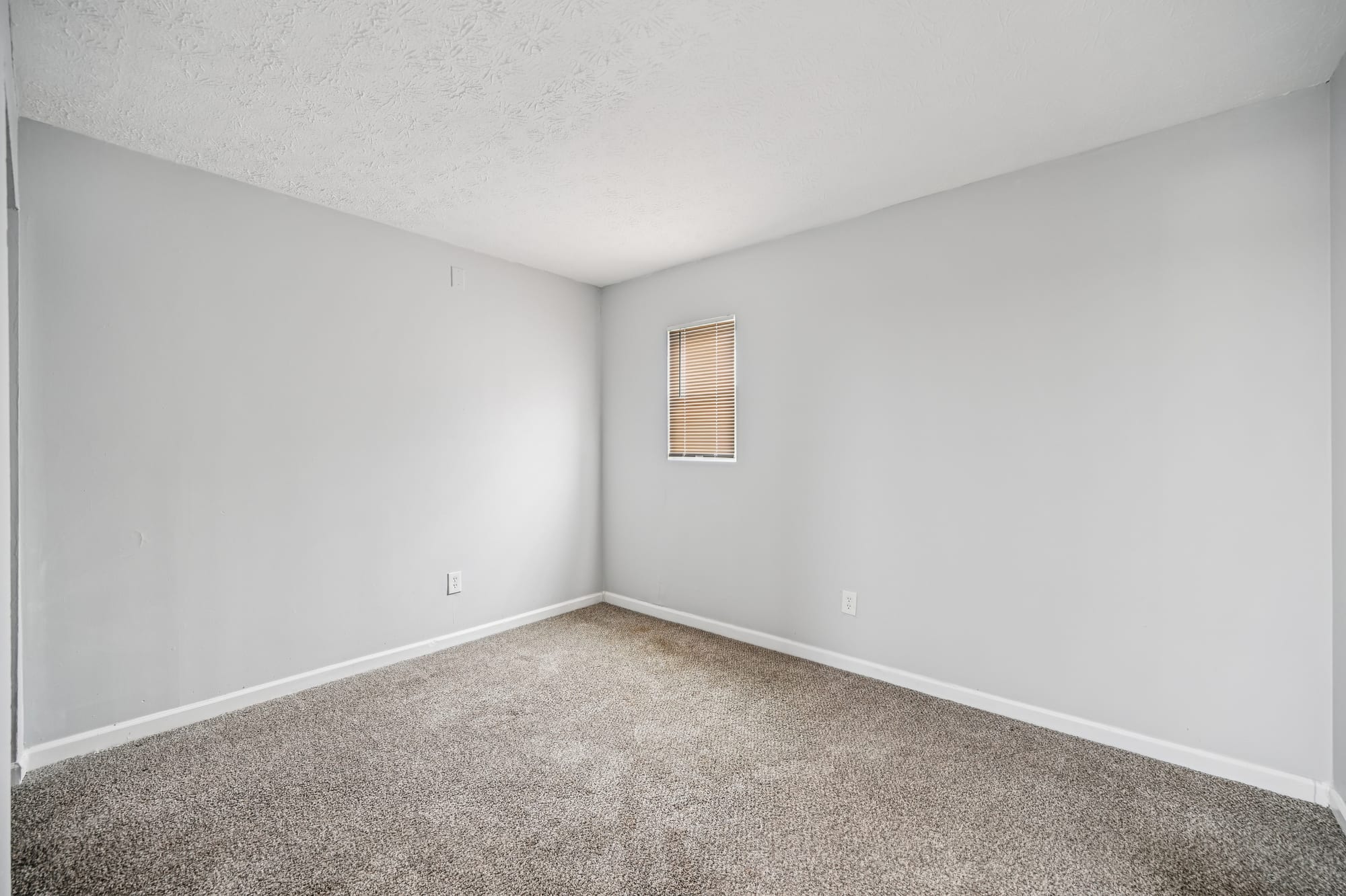 Second Bedroom — 2 bed / 1 bath apartment at Morse Creek (photo 1)